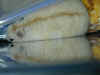 dscn2735.jpg (141084 バイト)