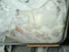 dscn2741.jpg (128521 バイト)