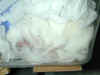 dscn2745.jpg (133259 バイト)