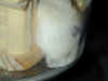 DSCN3331.JPG (15545 バイト)